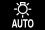Discovery Sport auto lights (white) symbol